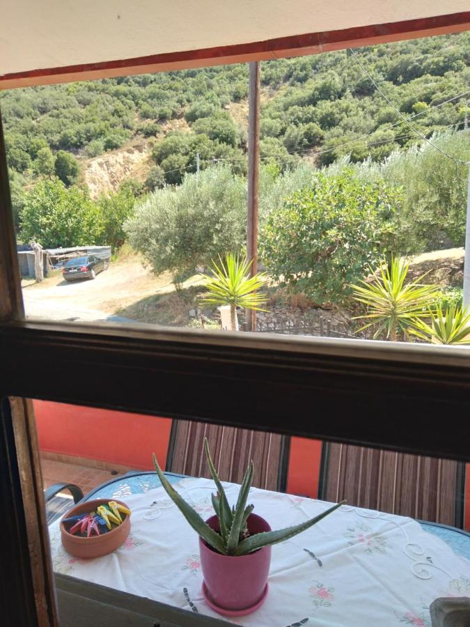 Maisonette Maria-For Tranquility Sykia Chalkidikis Bagian luar foto